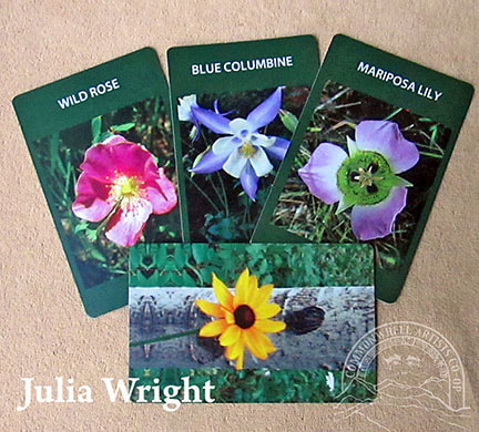 Wildflower cards by Julia Wright