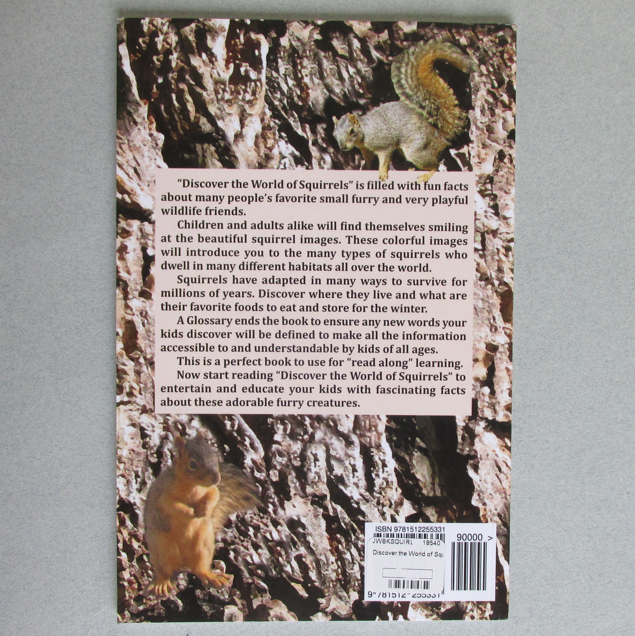 Julia Wright Discover The World Of Squirrels